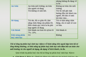 So sánh túi ni lông tự phân huỷ sinh học và túi ni lông thông thường