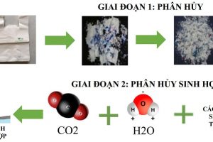 PHÂN BIỆT TÚI TỰ HỦY-TÚI THƯỜNG