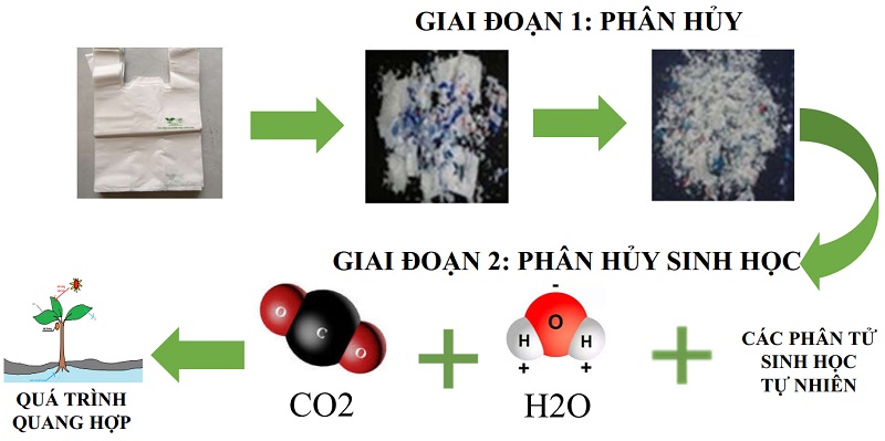 Quy trình phân hủy